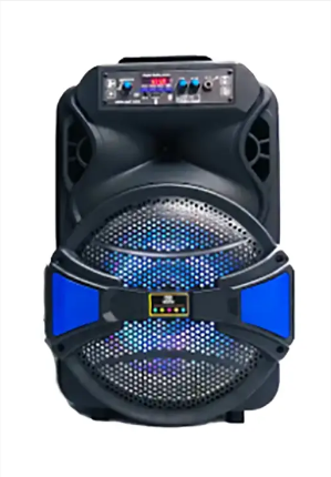 ALP-1201 12" Outdoor Wireless Speaker