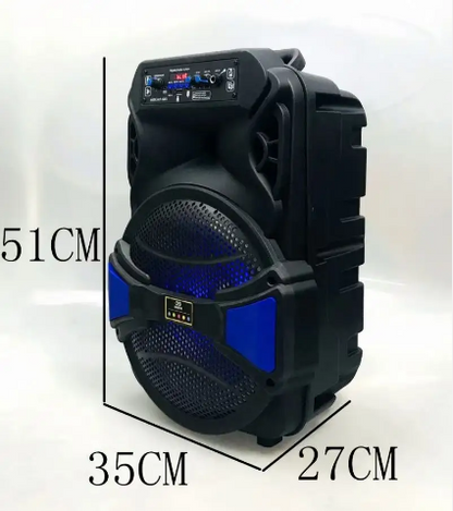 ALP-1201 12" Outdoor Wireless Speaker